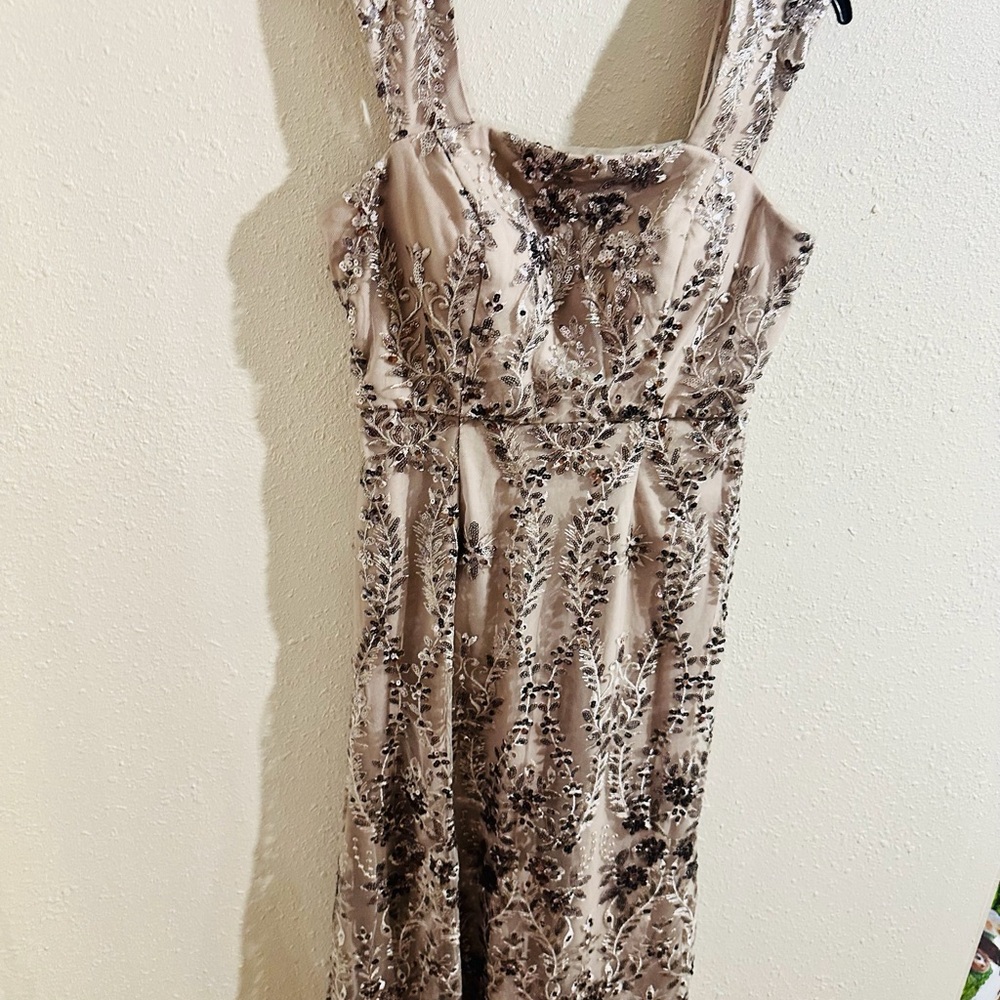 Elegant Embroidered Evening Dress